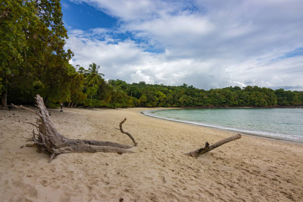 istock Beautiful beach in Manuel Antonio Natural Park (Costa Rica) 1818237879