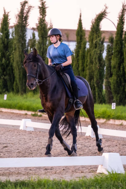 istock Young rider practicing horseback riding on a horse. 1818239002