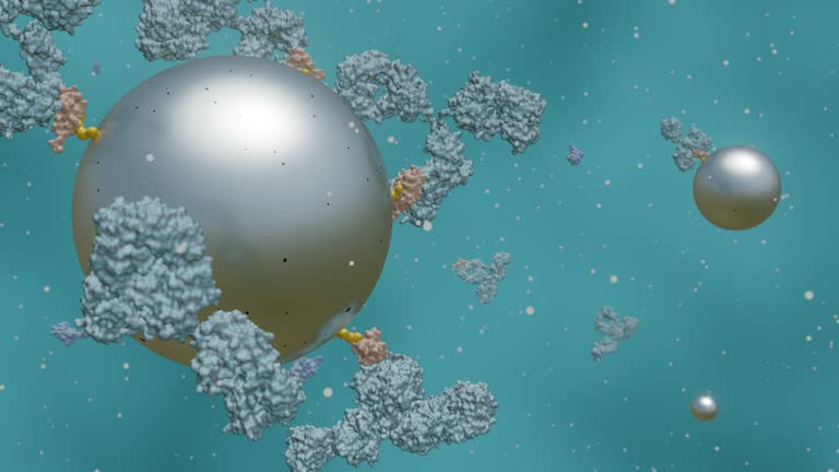 animation of antibody-conjugated magnetic nanoparticles