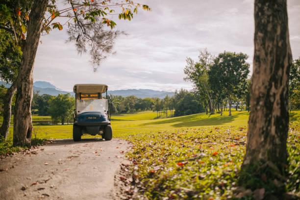 Golfer hitting the ball on a golf field on a sunny day