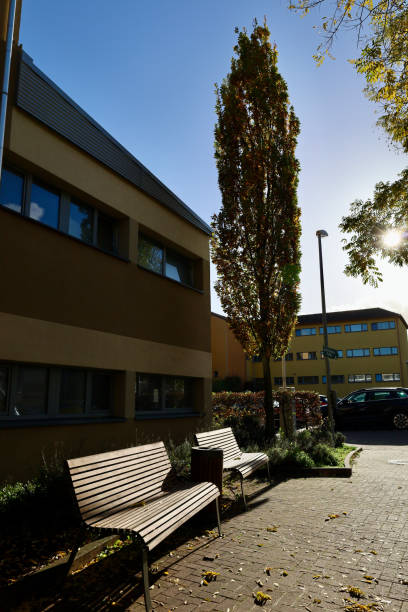 istock Street Public Chairs Sunny Day 1818273235