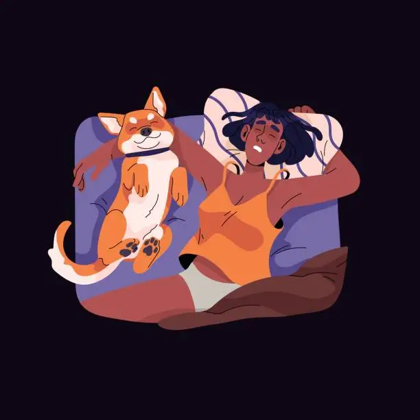 Vector illustration of People sleep, nap with pet top view. Asleep woman rests, relax with fluffy dog in bed. Relaxed girl lying with happy pup at night. Sleepy owner hugs funny corgi. Flat isolated vector illustration