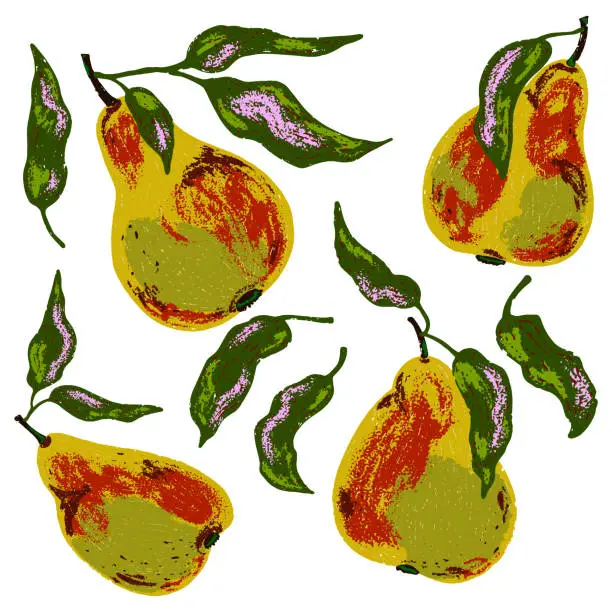 Vector illustration of Ripe pears with leaves. Vector grainy set of texture elements, cartoon style, doodle, grunge texture, colored pencil, old paint, crayon, pastel, crayon. Vector collection.