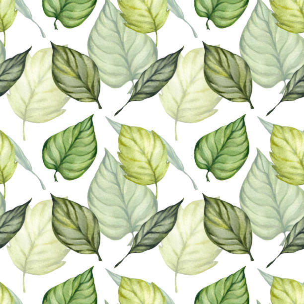 illustrations, cliparts, dessins animés et icônes de motif avec des feuilles vertes3 - autumn branch leaf backgrounds