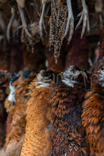 faisão e pato caçando pássaros na escandinávia durante o final do outono, caçadores vendendo as aves em um mercado local. - hunting pheasant duck hunting bird - fotografias e filmes do acervo