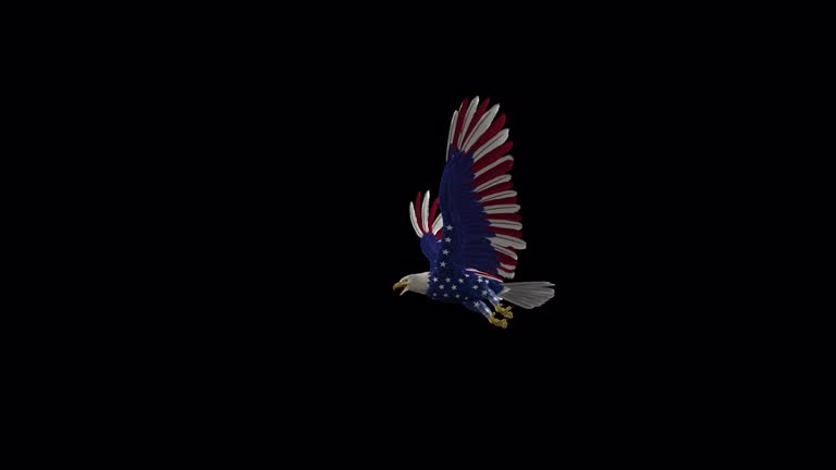 American Eagle Raptor Bird - USA Flag - Flying Transition - III - Alpha Channel