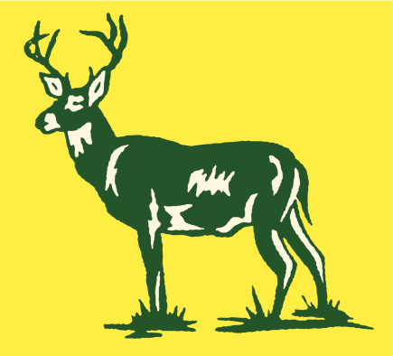 Standing Deer with Large Antlers