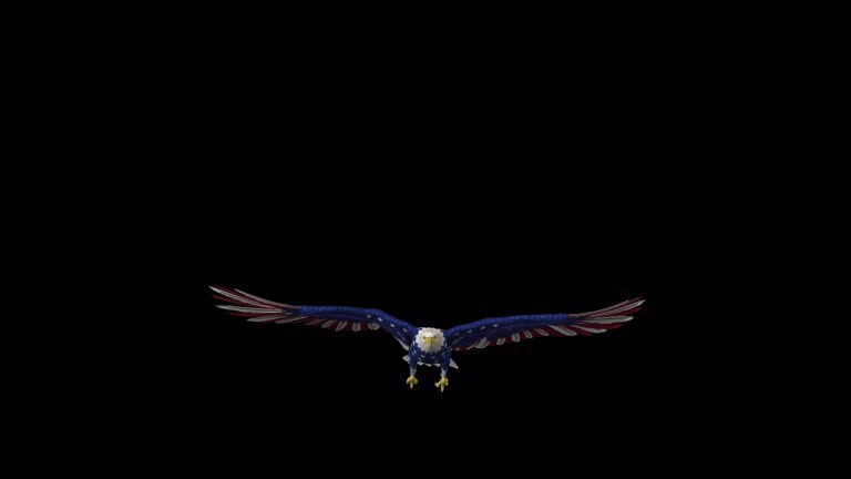 American Eagle Raptor Bird - USA Flag - Flying Transition - IV - Alpha Channel