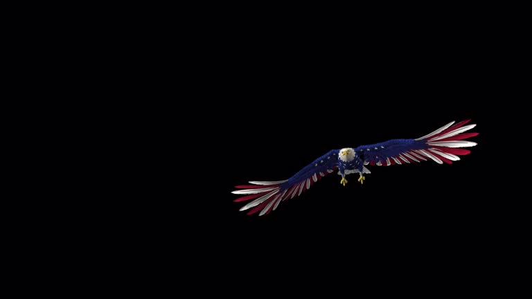 American Eagle Raptor Bird - USA Flag - Flying Transition - V - Alpha Channel