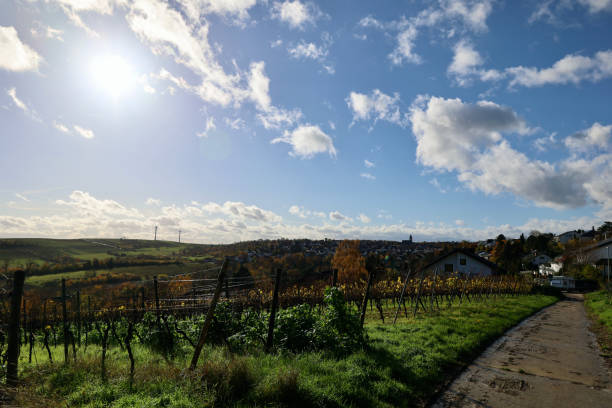 istock Nature Tree River Landscape Sky Blue Sun Winery Scooter 1818310206