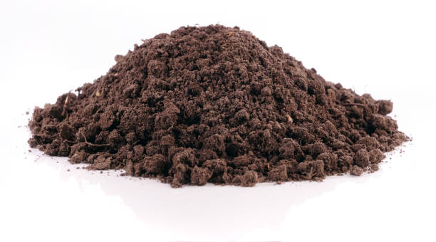 istock Heap of Soil isolated on white Background 1818319659