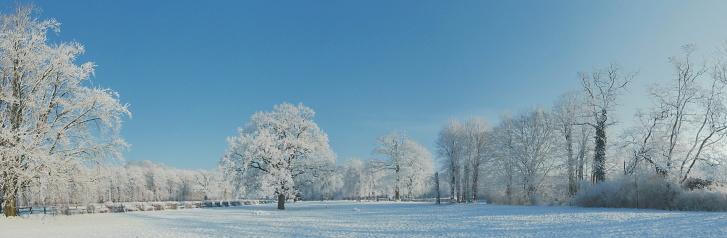 Park Panorama - Wintertime