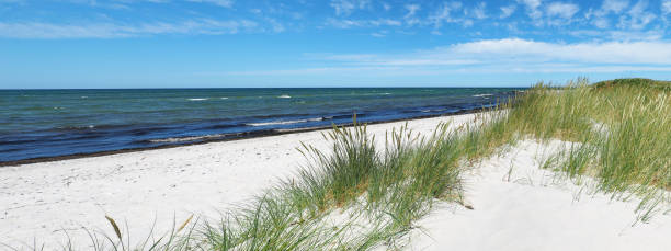 istock Baltic Sea Beach with Ocean View - Panorama 1818320807