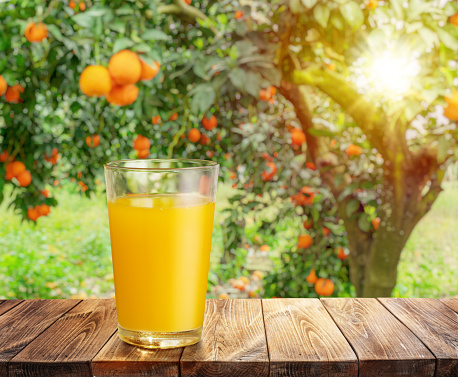 Glass of orange juice on wooden board or table top and blurred orange orchard. Place your product display.
