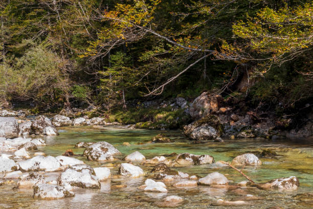 istock Mostnica gorge with many waterfall in Slovenia. 1818339552