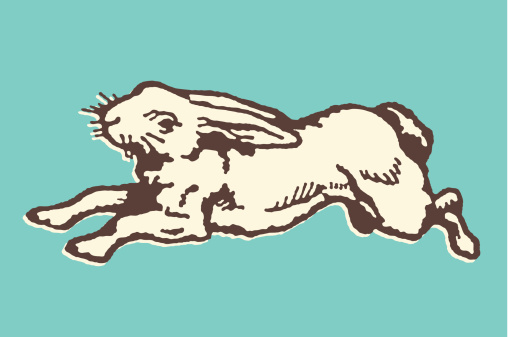 Running Rabbit