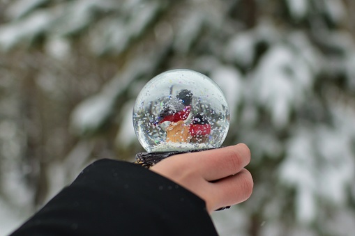 A snow globe with bullfinches in hand. Winter forest on the background. Focus on birds.