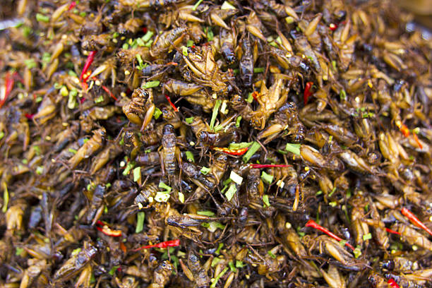 istock notorious bug eating of asia 181837072
