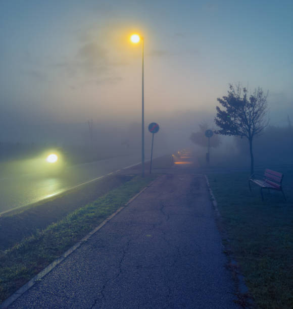 Foggy night in the park