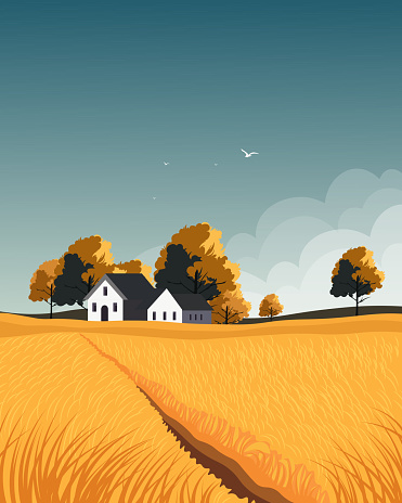 Vector illustration. Agriculture, wheat field, harvest. Print, poster, vertical banner, cover, postcard. Tourism, travel.