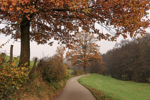 Cycle Path Balkantrasse Near Wuppertal