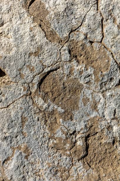 istock Aged concrete wall with rough weathered old surface with cracked cement in grunge style 1818450521