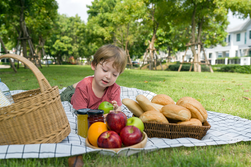 Young boy sit on a picnic blanket  with a basket, colorful fruit and freshly-baked bread. Enjoying outdoor picnic in sunny park