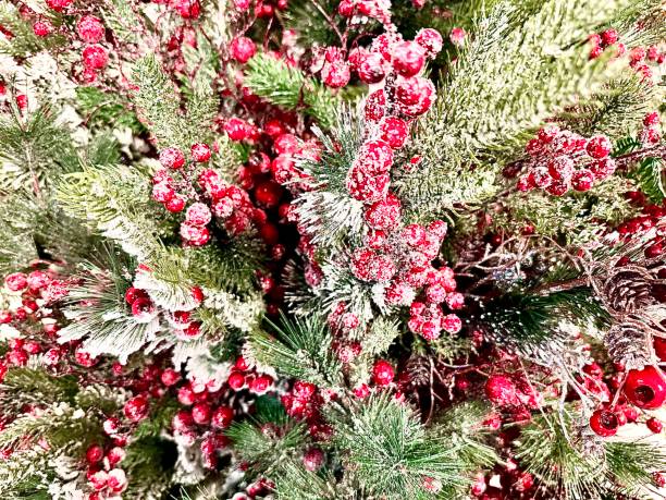 Christmas background with red holly berries and pine cones covered with snow