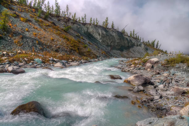 горная река протекает по крутому берену. - river spring autumn stream стоковые фото и изображения