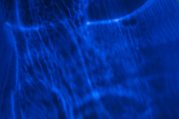 istock Abstract navy blue water ripple texture overlay 1818487923