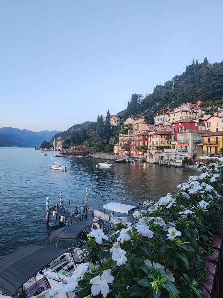 istock Flowers in the town 1818488134