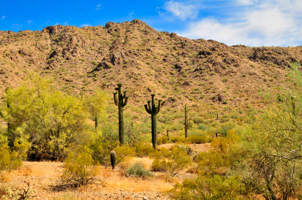 istock San Tan Mountains Sonora Desert Arizona 1818488576