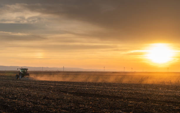 istock Farmer preparing his field in a tractor 1818489168
