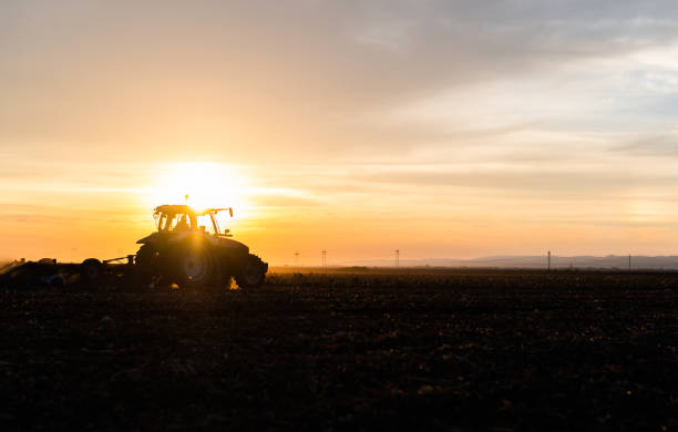 istock Farmer preparing his field in a tractor 1818489192