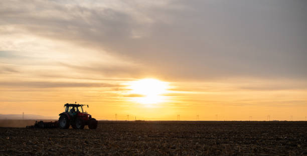 istock Farmer preparing his field in a tractor 1818489194