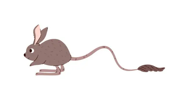Vector illustration of Cute little jerboa dessert animal side view flat style, vector illustration