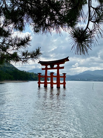 Japan - Miyajima Island near Hiroshima - Grand Tori Gate of Itsukushima Jinja  -Venerable 16th-century Shinto shrine with iconic orange gate that \