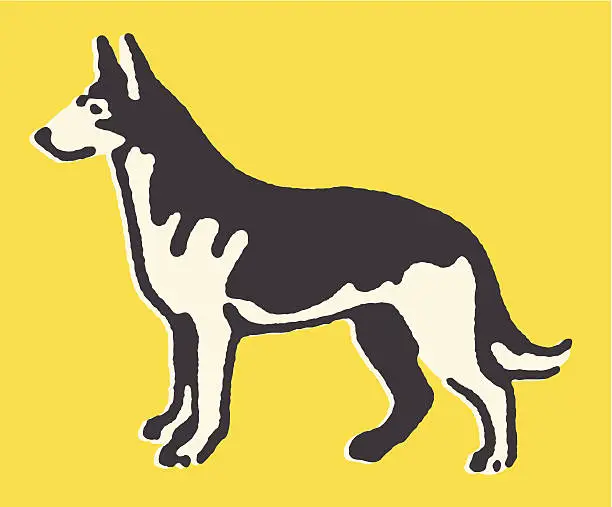 Vector illustration of German Shepherd