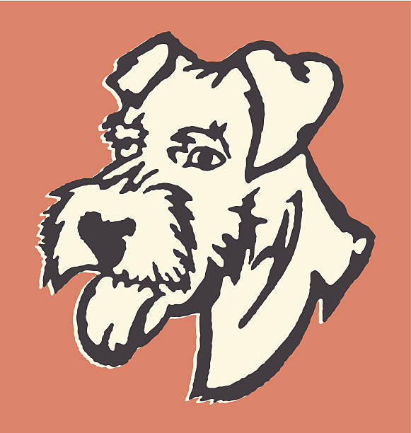 Schnauzer Schnauzer schnauzer stock illustrations