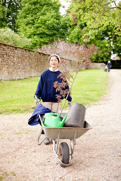 giardiniere con carriola - mansion uk gravel summer foto e immagini stock