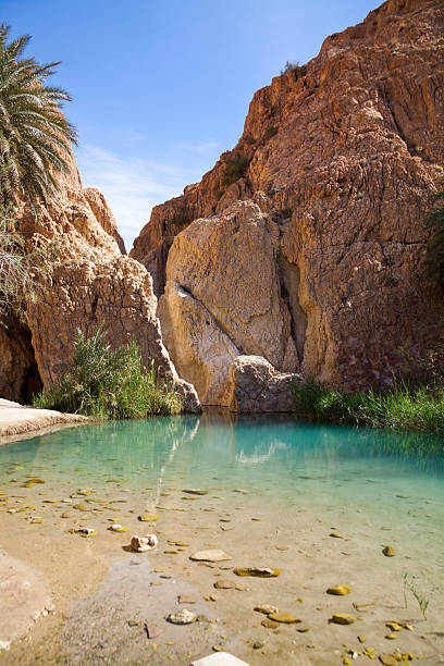 istock Bright lake in an oasis 181849469