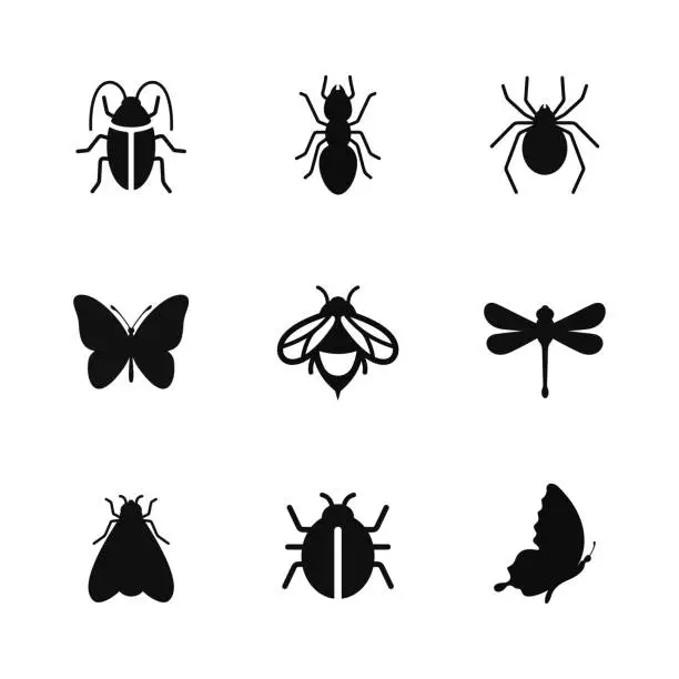 Vector illustration of Insects icon set isolated on white background