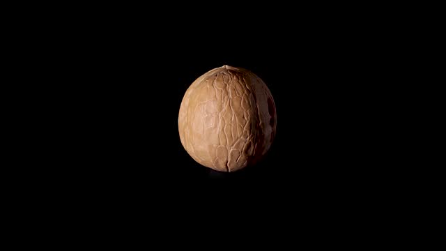Unpeeled walnut on black background. Side view. rotate 360 isolated on black background slow motion video