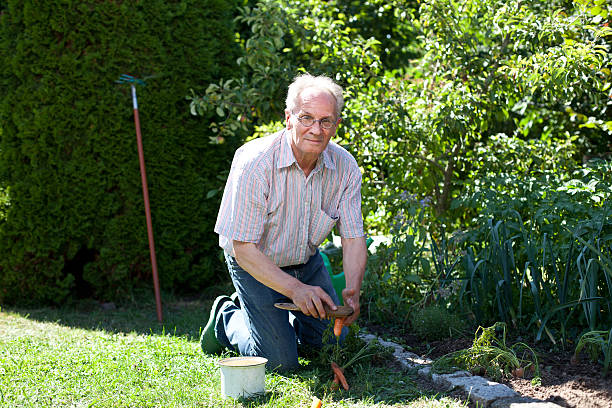 istock Old man being proud of his harvest 181849951