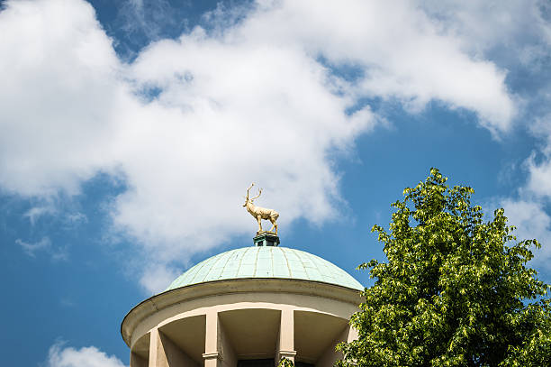 Golden deer on the roof in Stuttgart, Germany.Representative dome with golden deer, the emblem of Württemberg. The building is right next to the new castle on the northern flank of the castle square of Stuttgart, Germany. Copy space on the sky in the background.
