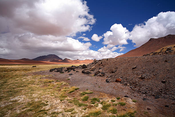 istock Altiplano Landscape - Atacama, Chile 181850375
