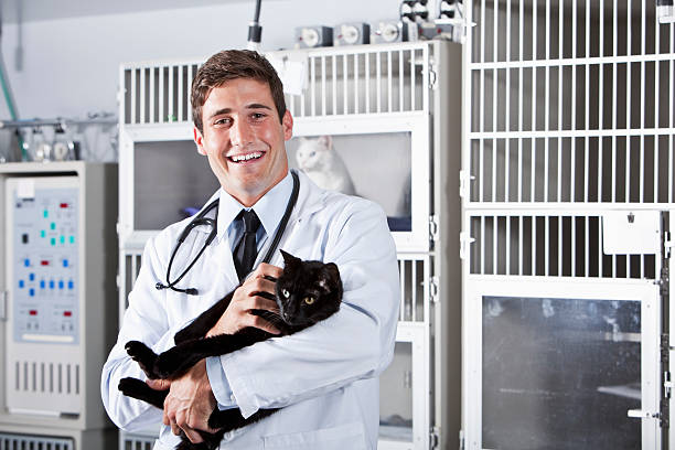 젊은 남자 작업 동물병원 - doctor pets portrait animal hospital 뉴스 사진 이미지