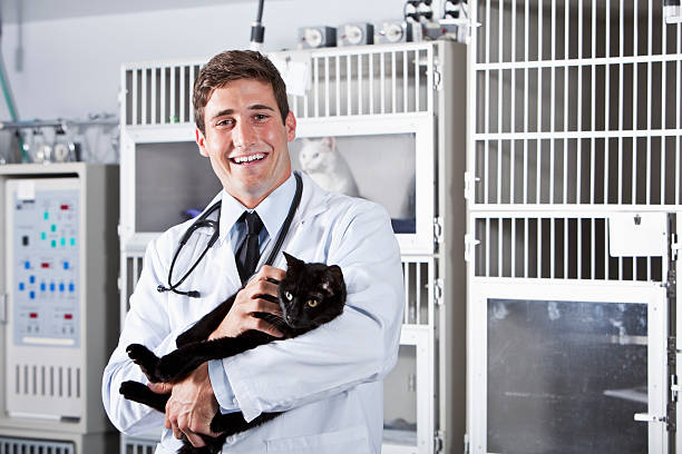 istock Young man working in animal clinic 181850631