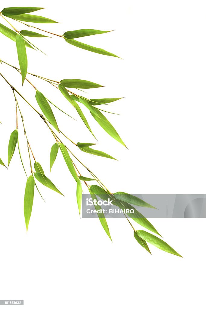Bambus-Blätter - Lizenzfrei Asiatische Kultur Stock-Foto
