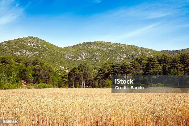 Foto de Paisagem Rural e mais fotos de stock de Agricultura - Agricultura, Ajardinado, Amarelo